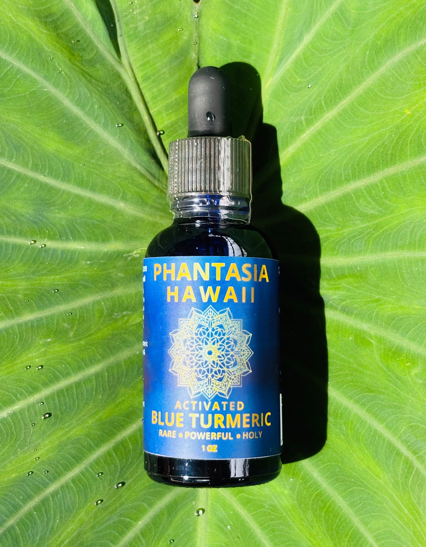 Activated Blue Turmeric Tincture