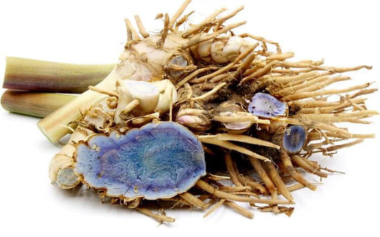 Beyond Gold: Unlocking the Rare Power of Blue Turmeric.