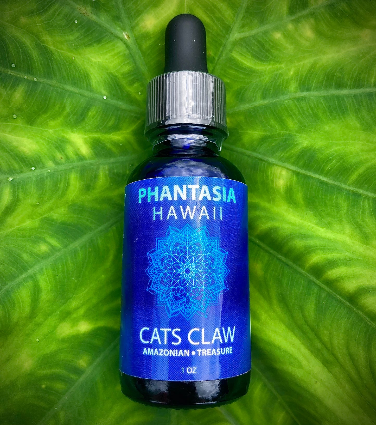 Cats Claw Tincture