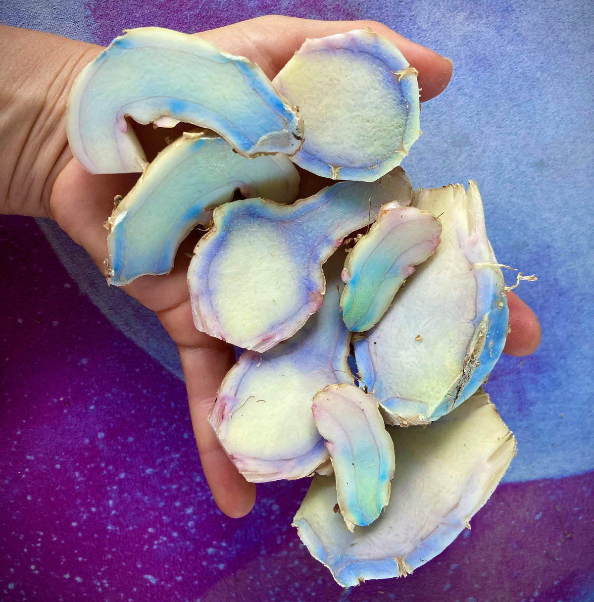 Activated Blue Turmeric Tincture