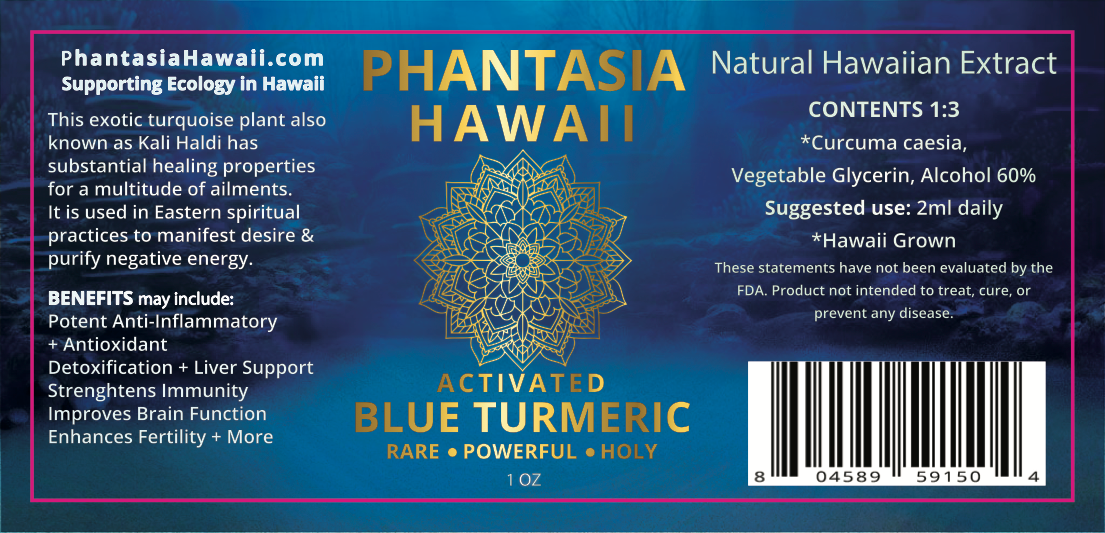 Activated Blue Turmeric Tincture