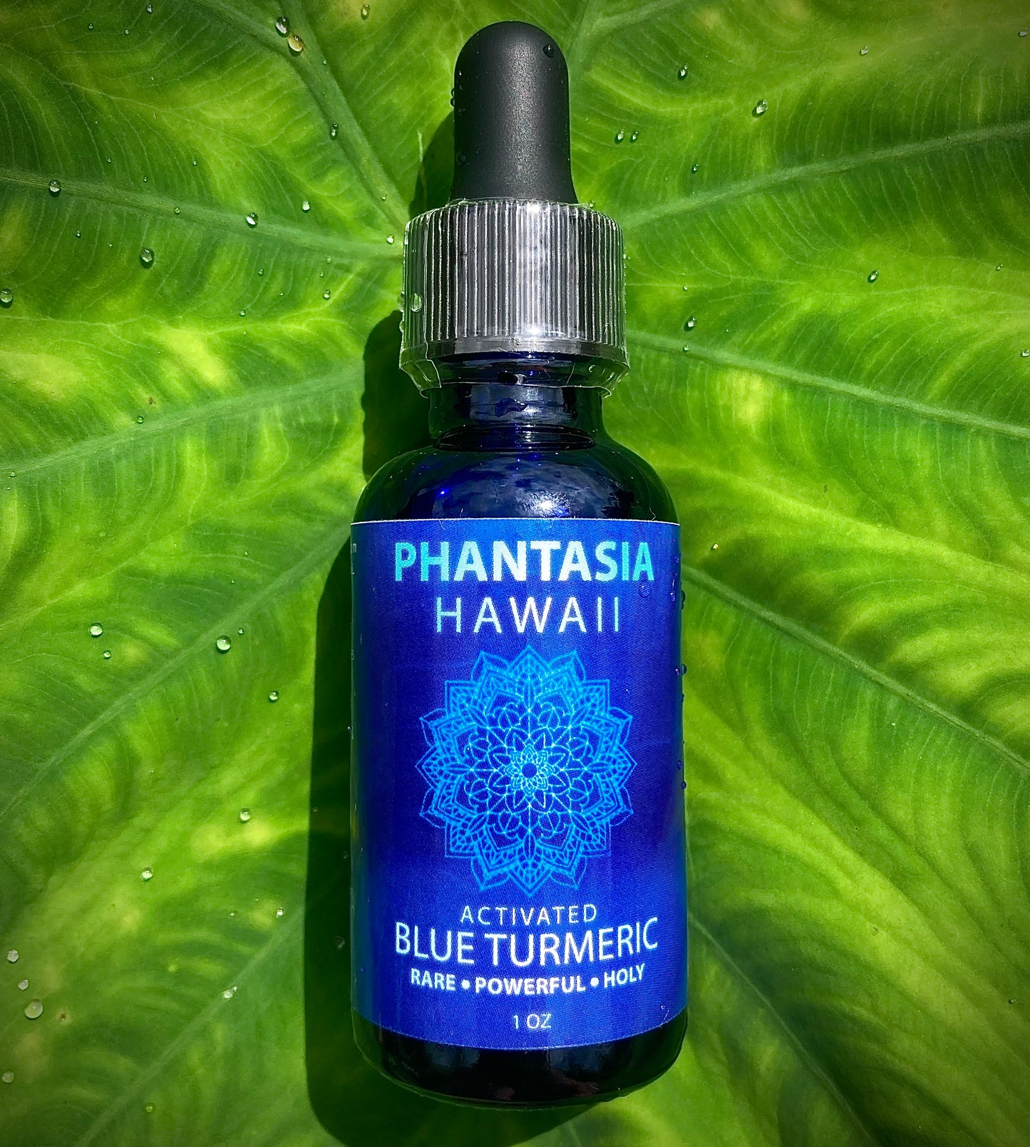 Activated Blue Turmeric Tincture