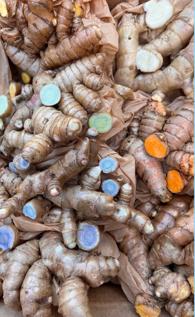 Activated Blue Turmeric Tincture