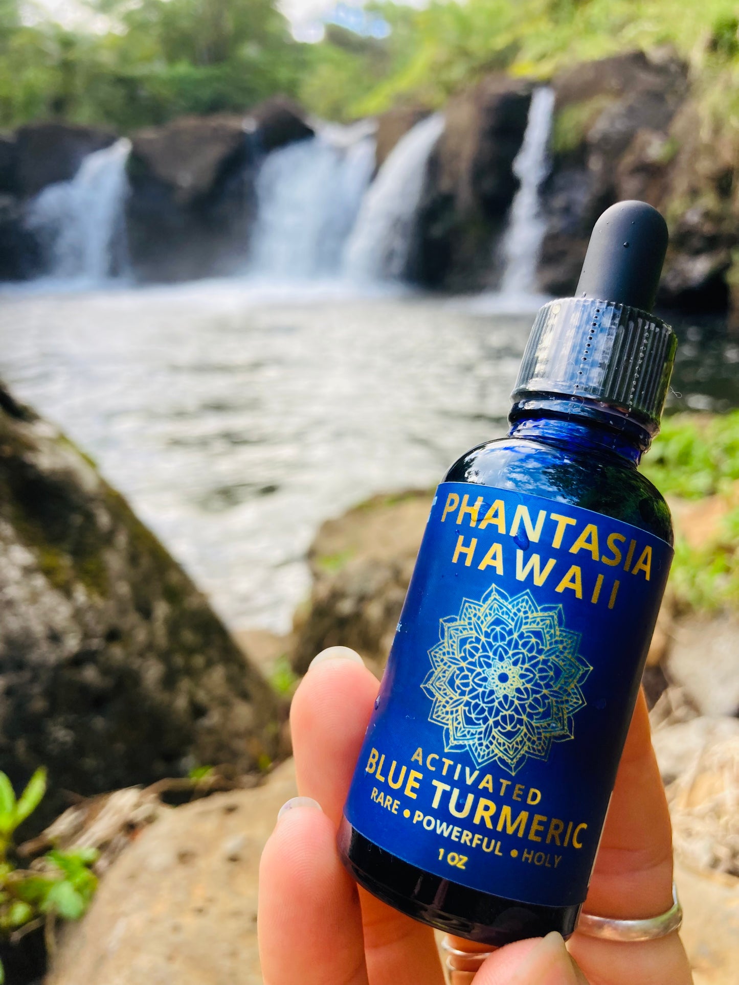 Activated Blue Turmeric Tincture