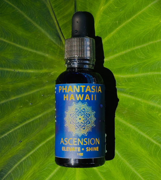 Ascension Blend