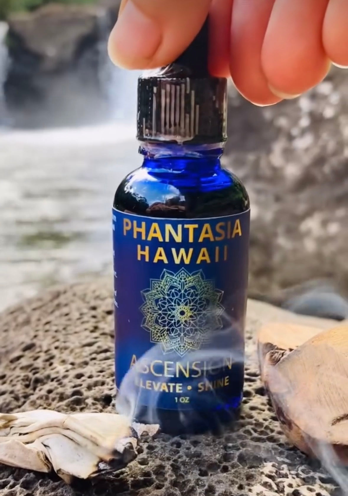Ascension Blend